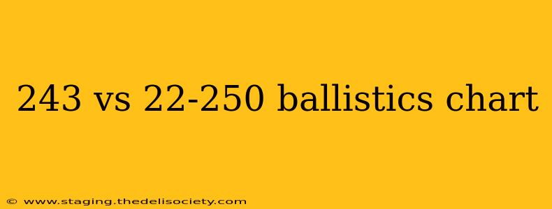 243 vs 22-250 ballistics chart