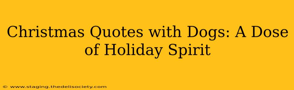 Christmas Quotes with Dogs: A Dose of Holiday Spirit