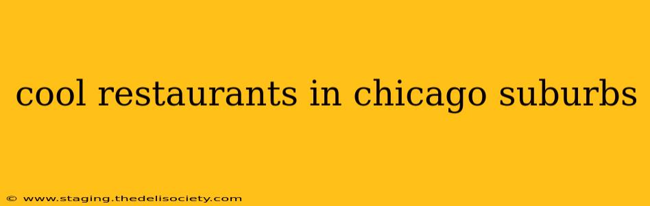 cool restaurants in chicago suburbs