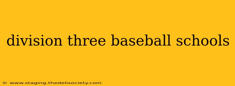 division three baseball schools