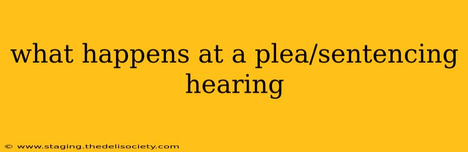 what happens at a plea/sentencing hearing