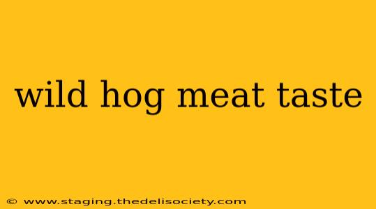 wild hog meat taste